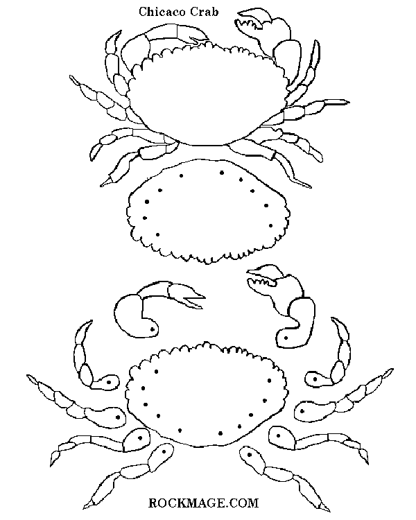 [Crab/Chikako (pattern)]