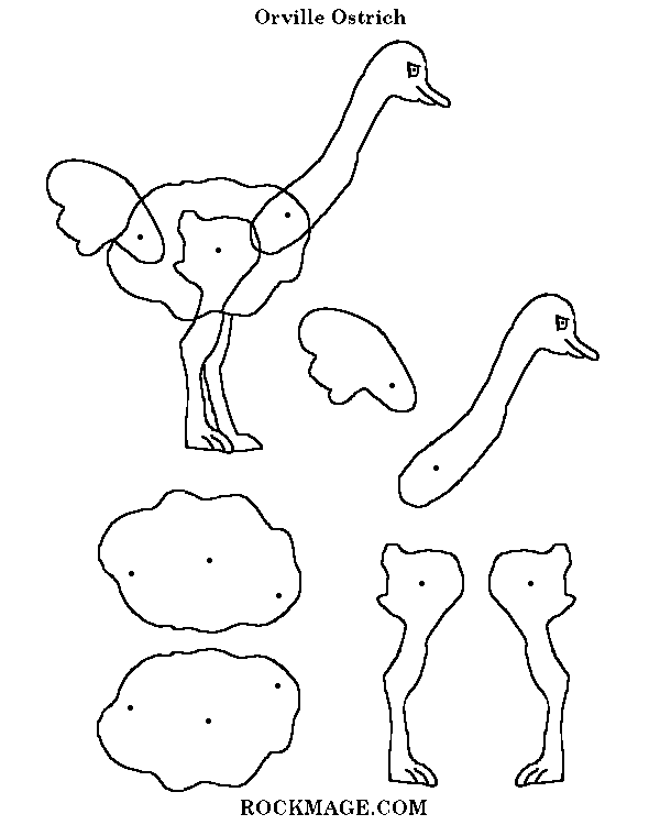 [Ostrich/Orville (pattern)]